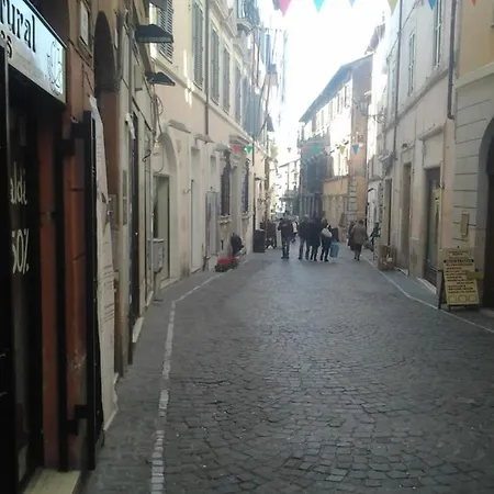 Cardinal Trevio Tivoli